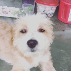 Meet your Posher, Aryel